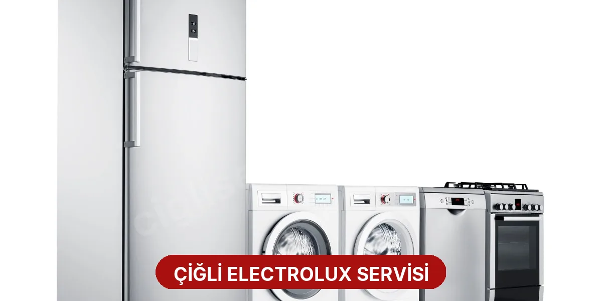 Çiğli Electrolux Servisi