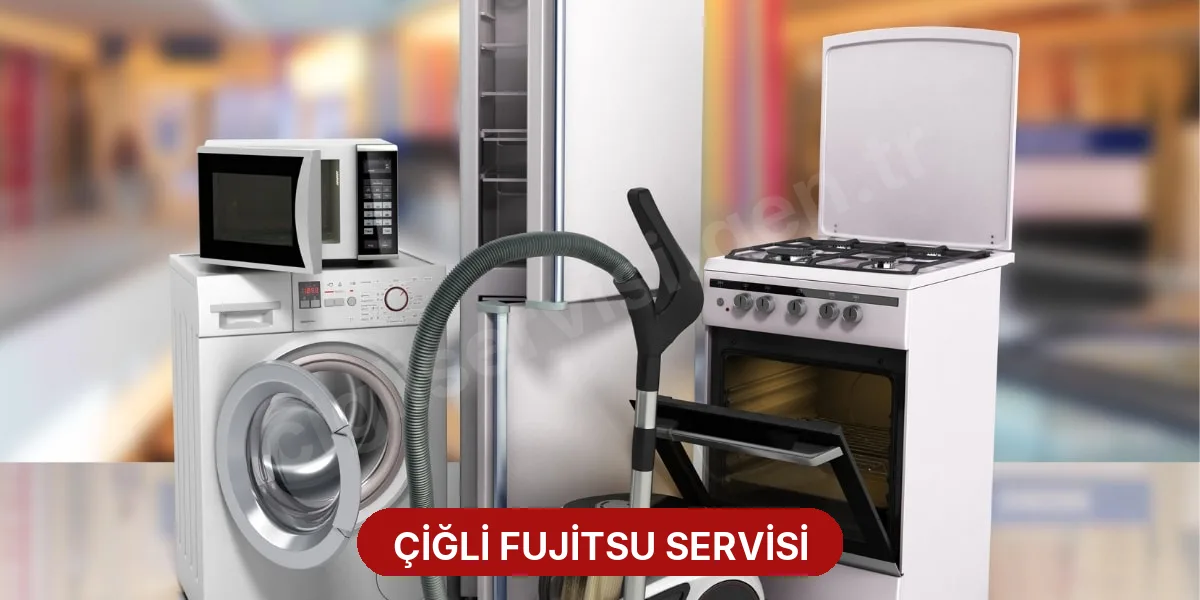 Çiğli Fujitsu Servisi