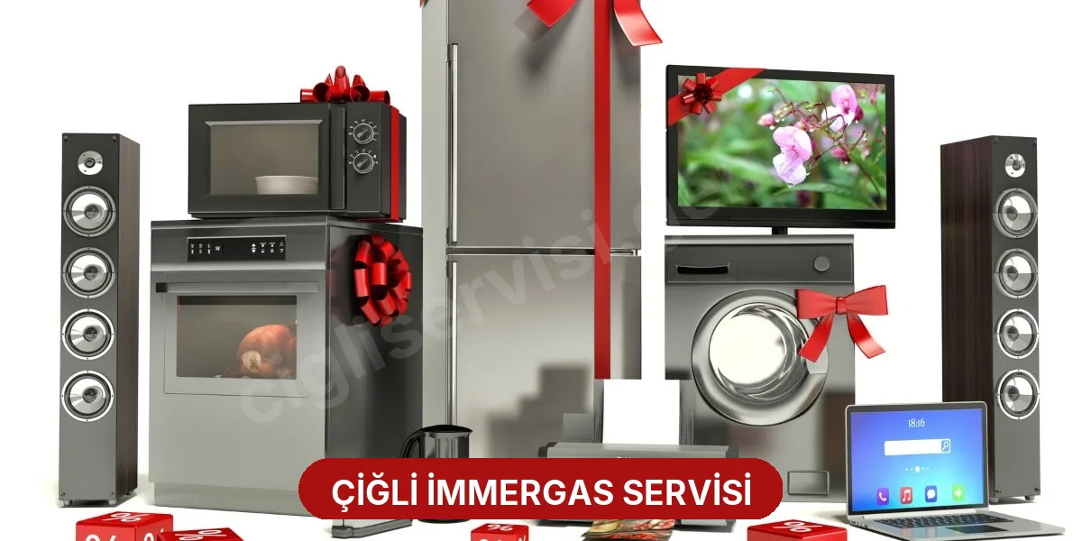 Çiğli İmmergas Servisi