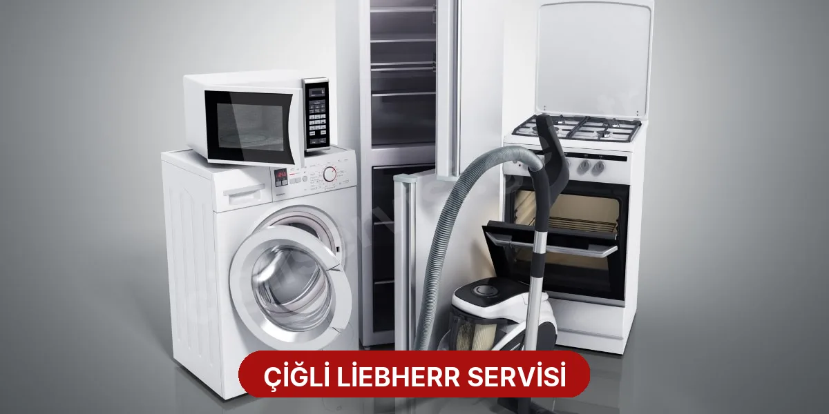 Çiğli Liebherr Servisi