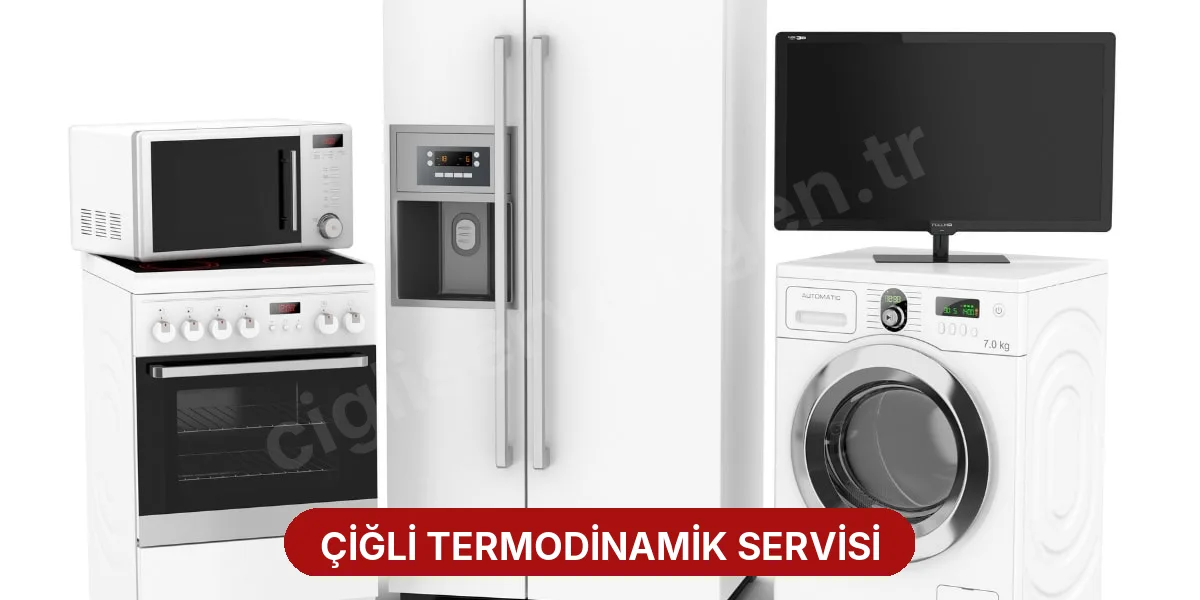 Çiğli Termodinamik Servisi