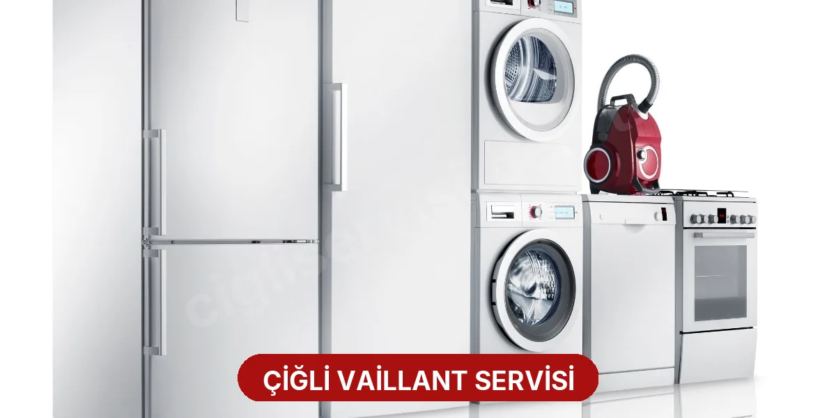 Çiğli Vaillant Servisi